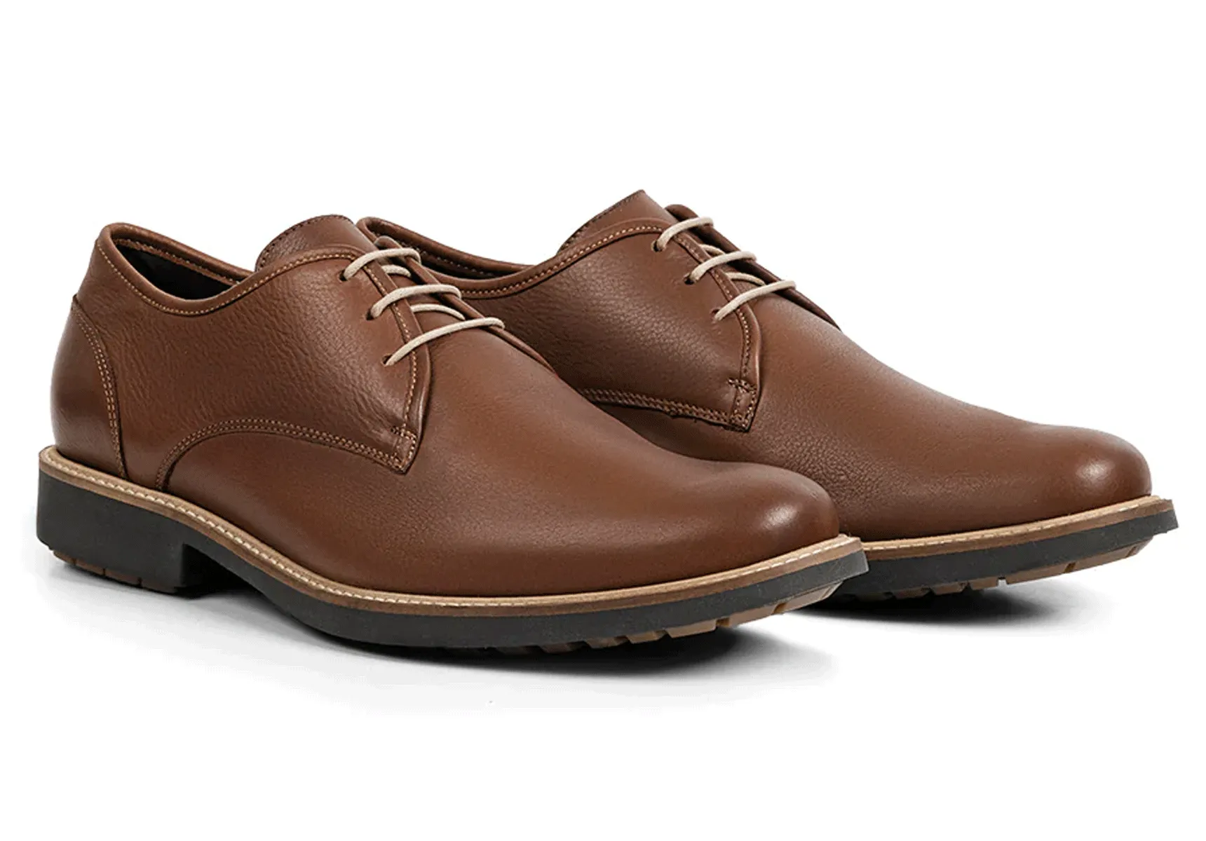 Anatomic Europa - Cedar