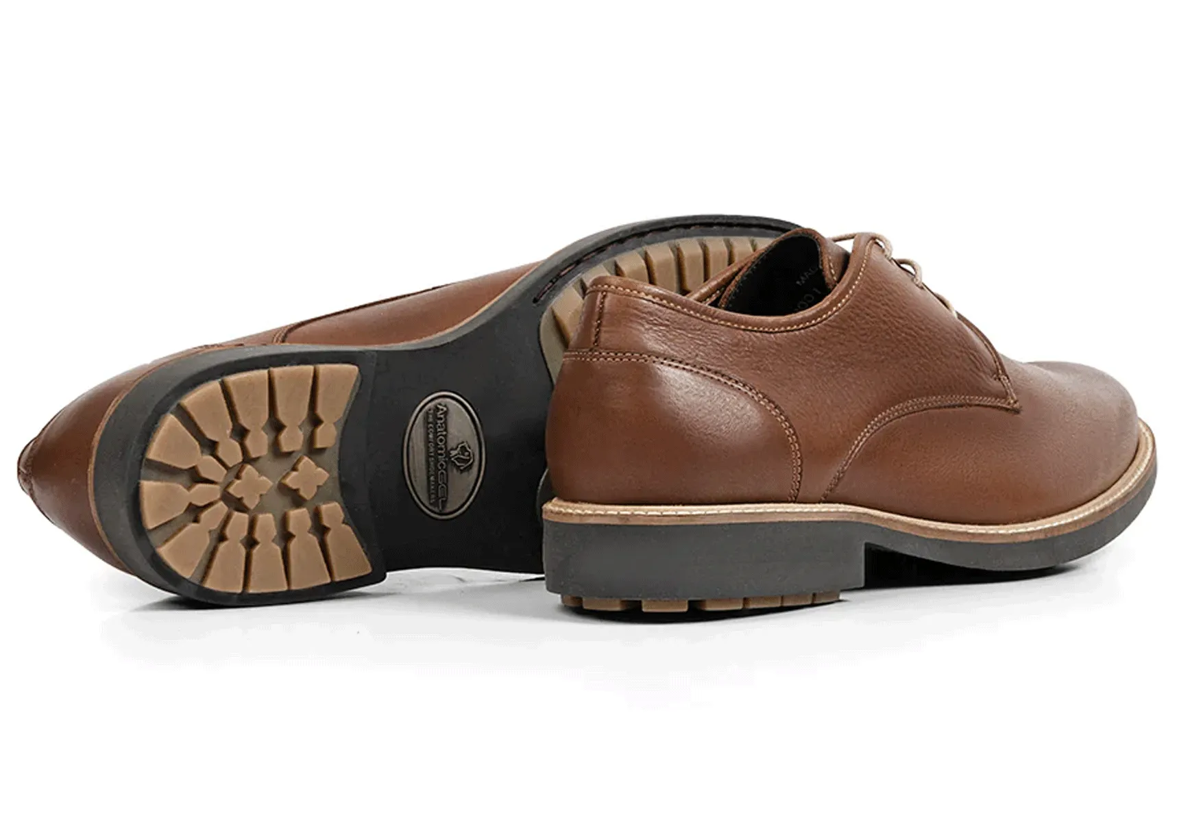Anatomic Europa - Cedar