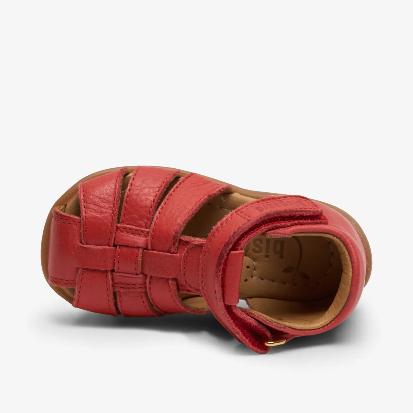 bisgaard carly red