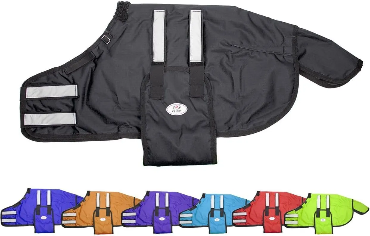 Derby Originals 600D Ripstop Waterproof Reflective Safety Winter Foal and Mini Horse Turnout Blanket 150g Medium Weight