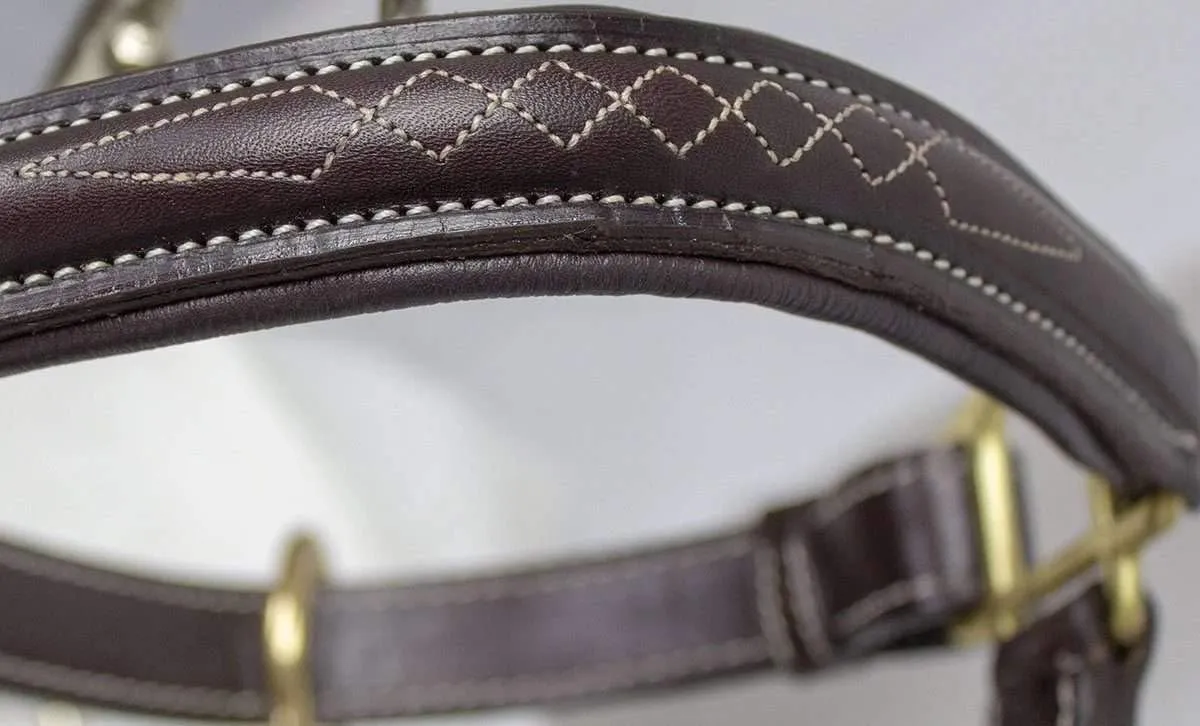 Derby Originals American Elite Fancy Stitch Padded Adjustable Halter