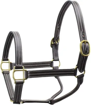 Derby Originals Cambridge Triple Stitched Premium Leather Horse Halter No throat Snap for Safety and Track Racing- Cobf/Arab Size