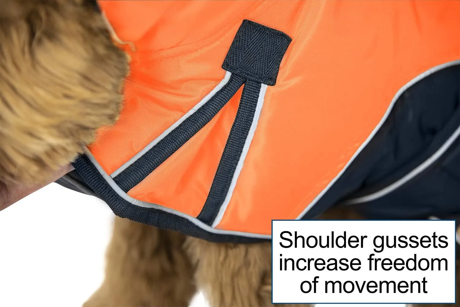 Derby Originals Urban Pet 420D Water Resistant Reflective Winter Dog Parka with Neck Cover & Harness Compatible Opening 220g Heavy Weight