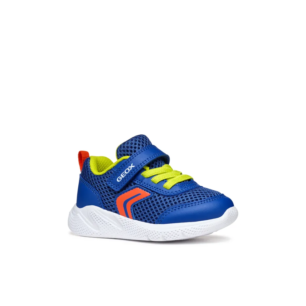 Geox - B Sprintye Boy - Royal/Red - Trainers