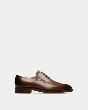 Scribe Novo Derby Shoes In Brown Leather