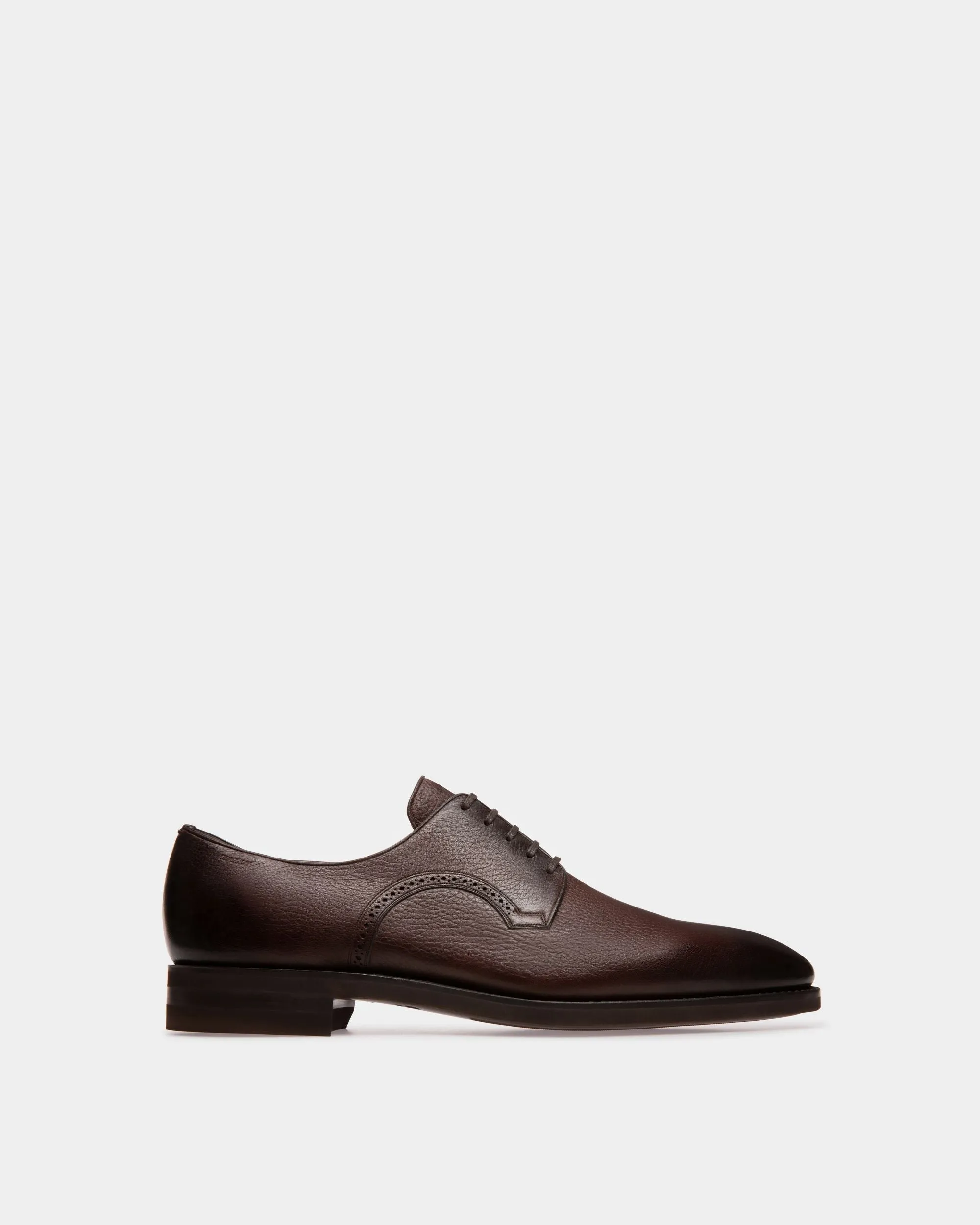 Scribe Novo Derby Shoes In Coffee Leather