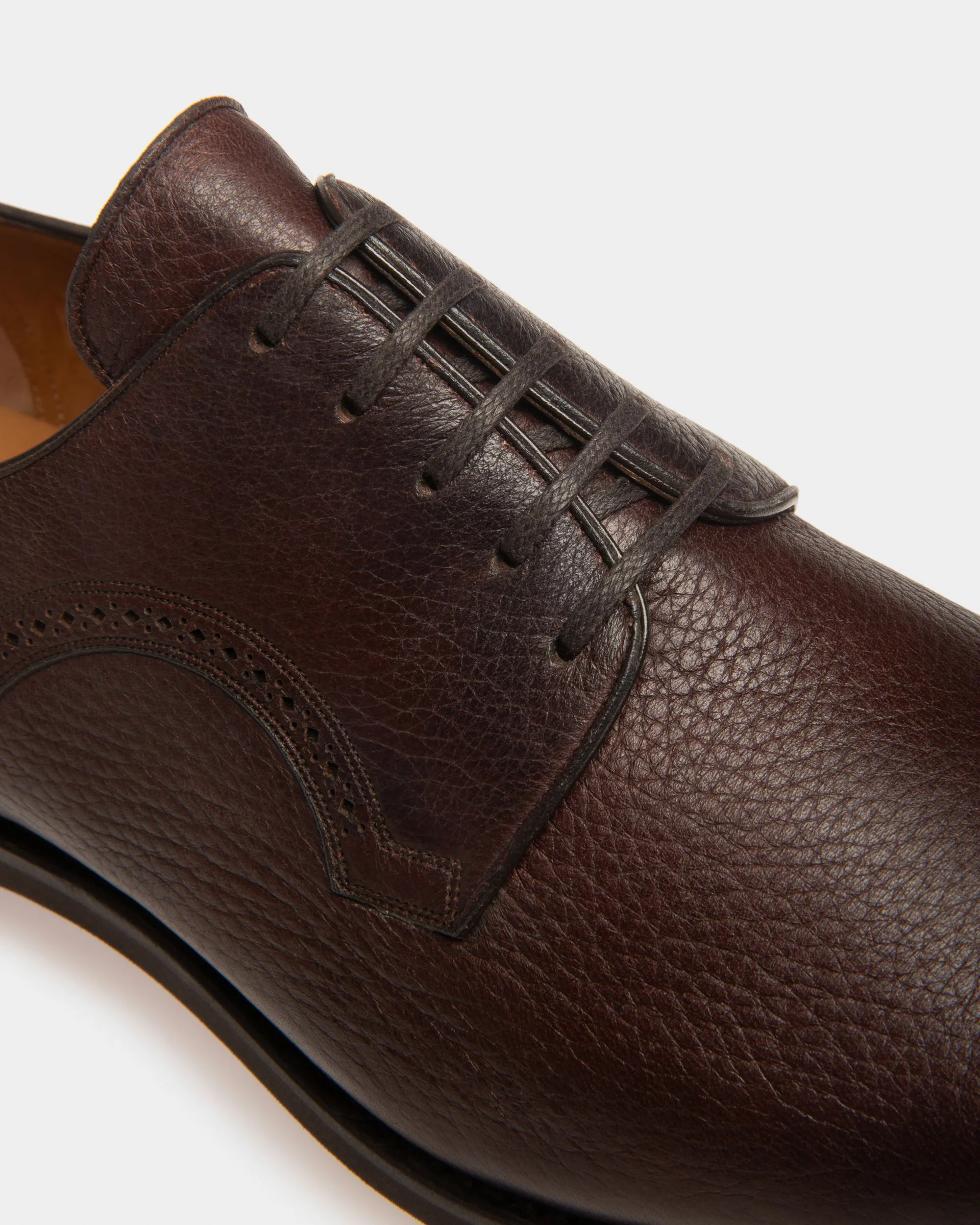 Scribe Novo Derby Shoes In Coffee Leather